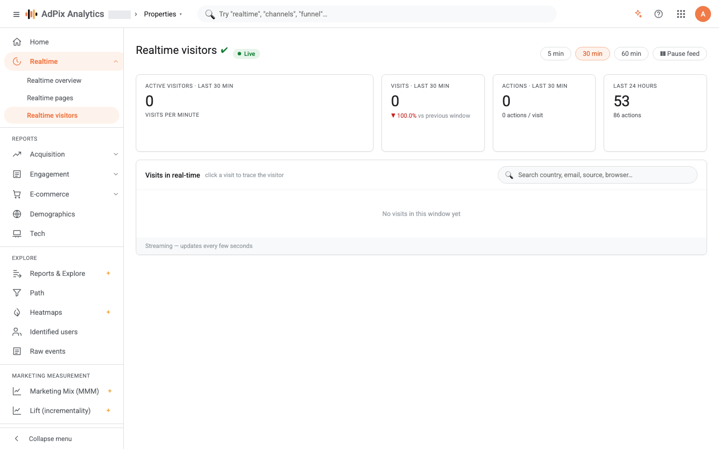 The live visits feed and the per-visitor snapshot.
